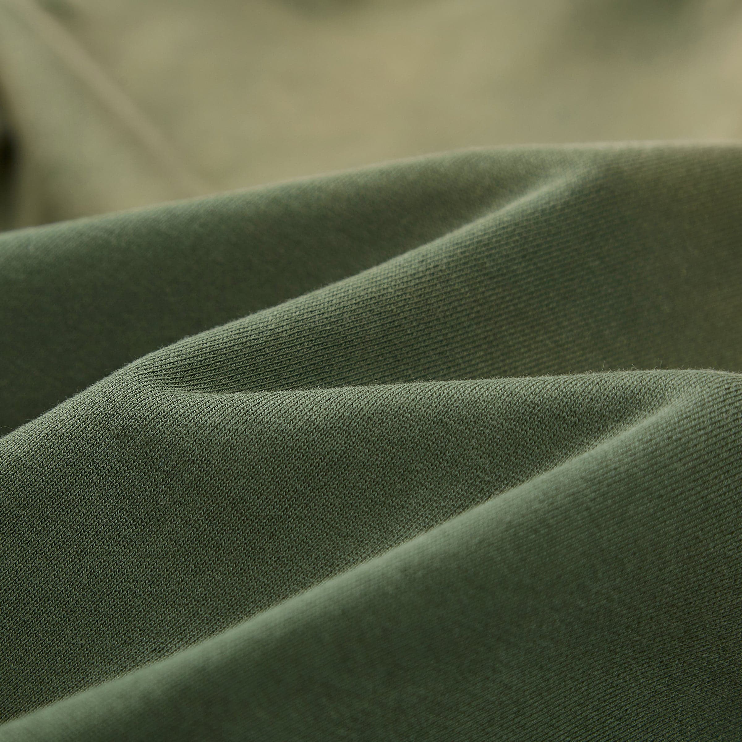 Eternal Wing media image showing green sample fabric texture close-up detail